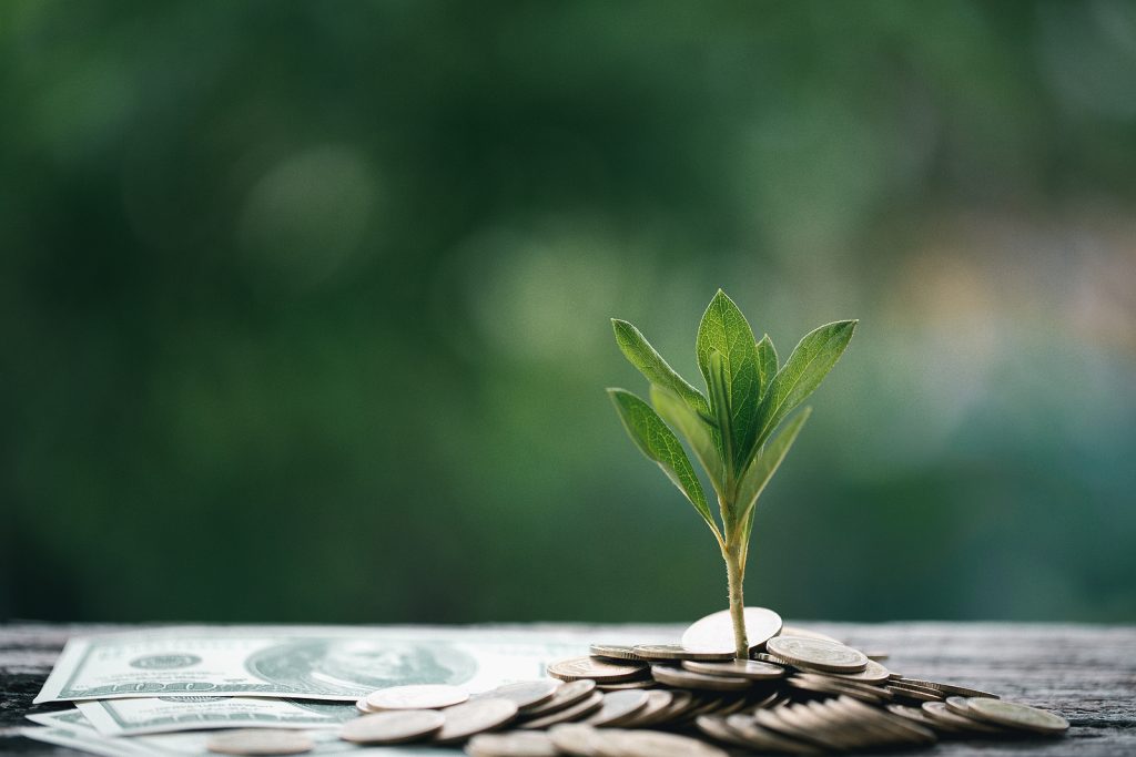 Sustainable Investing with Options for Retirees